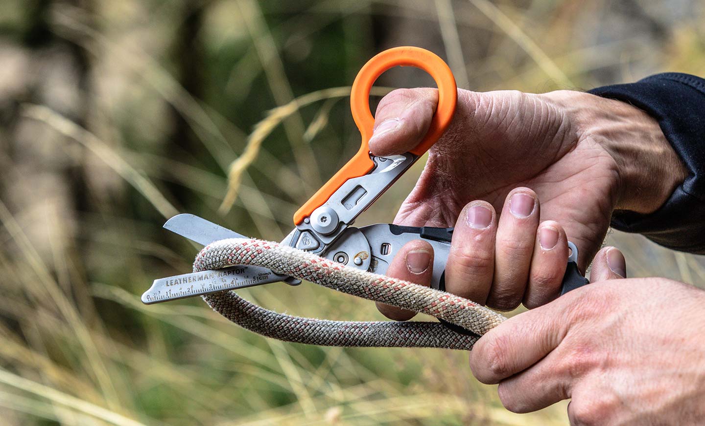 Raptor Rescue - Image 15